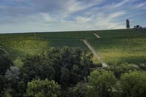 die weinberge in der piemontesischen langhe im herbst foto