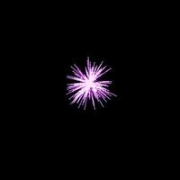 Hellviolettes Feuerwerk, das in die Luft platzt, erhellt den Himmel mit einem schillernden Display und farbenfrohen Feuerwerksfestivals auf Schwarz. foto