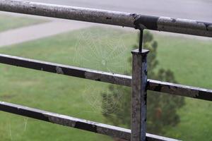 Spinnennetz am Balkongeländer foto