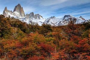 Herbst in Patagonien - Argentinien foto