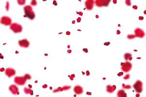 Viele Rose Overlay Rosenblüten und Blütenblatt Valentinstag Hintergrund mit fallenden roten Rosenblättern ist auf Schwarz foto