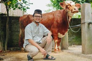 gut aussehend asiatisch Muslim Mann tun kniend Nieder Pose mit Vieh Kühe zum Opfer hinter. eid al adha Konzept. foto