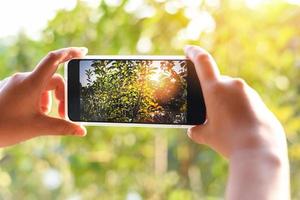 Frauenhand, die ein Smartphone hält, das ein Foto von einem grünen Baum der Natur und einem Sonnenuntergang Bokeh-Hintergrund macht, Handyfotografie und -video
