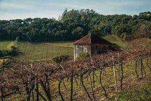 ländliche Landschaft mit altem Bauernhaus inmitten von Weinbergen, umgeben von bewaldeten Hügeln in der Nähe von Bento Goncalves. eine freundliche Landstadt im Süden Brasiliens, die für ihre Weinproduktion bekannt ist. foto