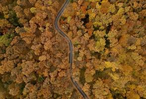 Luftaufnahme an der Straße im Herbstwald