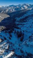 Luftbild über Tal mit Bergkette im Hintergrund in den bayerischen Alpen foto