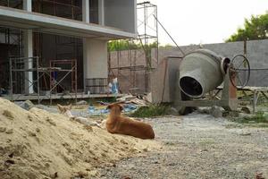 Rückansicht Hundepaar sitzen auf dem Sandhaufen auf der Baustelle foto