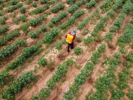 Bauern sprühen giftige Pestizide oder Pestizide auf landwirtschaftliche Flächen. Thema der Unkrautbekämpfung in der industriellen Landwirtschaft. Luftaufnahmen von Drohnen foto