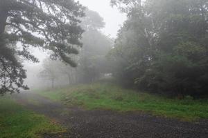 Nebel über dem See Minnewaska foto