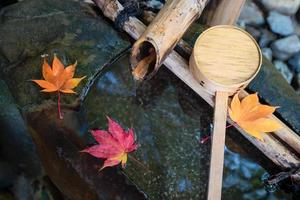 Japanischer Zen-Garten für Entspannung Balance und Harmonie Spiritualität oder Wellness in Kyoto, Japan foto