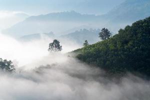 blick auf den erstaunlichen nebel, der sich bei sonnenaufgang in den bergen in thailand über die naturberge bewegt.