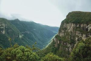 fortaleza canyon mit steilen felsigen klippen bedeckt von dichtem wald und nebel, der die schlucht in der nähe von cambara do sul heraufzieht. eine kleine landstadt im süden brasiliens mit erstaunlichen natürlichen touristenattraktionen. foto