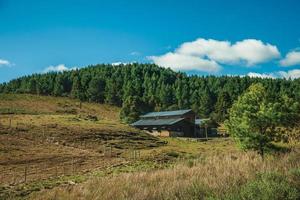 Haus auf einem Hügel, bedeckt von trockenen Büschen und grünem Hain im Flachland namens Pampas, an einem sonnigen Tag in der Nähe von Cambara do Sul. eine kleine landstadt im süden brasiliens mit erstaunlichen natürlichen touristenattraktionen. foto