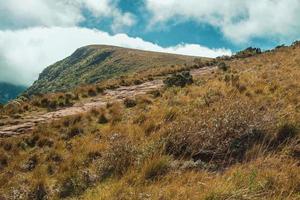 felsiger Weg, der an einem sonnigen Tag in der Nähe von Cambara do Sul durch trockene Büsche zu einer Klippe auf der Fortaleza-Schlucht führt. eine kleine landstadt im süden brasiliens mit erstaunlichen natürlichen touristenattraktionen. foto