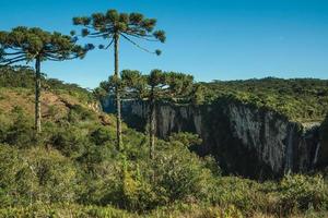 itaimbezinho canyon mit wasserfall, der von felsigen klippen in einem flachen, von wald bedeckten plateau in der nähe von cambara do sul kommt. eine kleine landstadt im süden brasiliens mit erstaunlichen natürlichen touristenattraktionen. foto