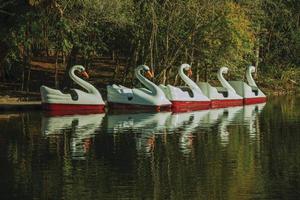 Detail von Tretbooten aus Fiberglas in Form eines Schwans auf einem See im Einwandererdorfpark von Nova Petropolis. eine schöne ländliche stadt, die von deutschen einwanderern in südbrasilien gegründet wurde. foto