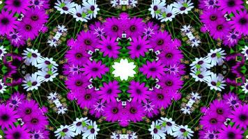 Blumen Flora Kaleidoskop foto