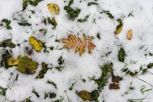 natürlicher Hintergrund aus Schnee und gelben Herbstblättern foto