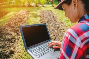 asiatische Frau mit digitalem Tablet beim Anbau von Gemüse. Anwendung moderner Technologie in der landwirtschaftlichen Anbautätigkeit. foto