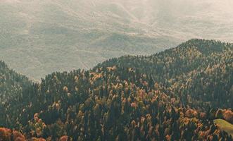 Herbst in den Bergen von Krasnaya Polyana foto