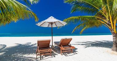 tropischer Strandhintergrund als Sommerlandschaft mit Liegestühlen