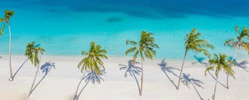 Luftstrandlandschaft. minimalistischer Strandblick von Drohne oder Flugzeug, Palmenschatten im weißen Sand in der Nähe des blauen Meeres mit schönen Wellen und Wellen. perfektes sommerstrandlandschaftsbanner. exotisches blaues Meer foto