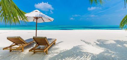 tropischer Strandhintergrund als Sommerlandschaft mit Liegestühlen und Palmen und ruhigem Meer für Strandbanner foto