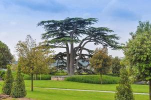 Schloss Amboise foto