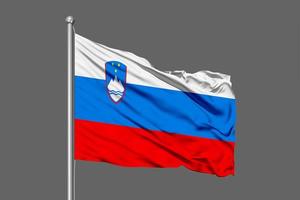 Slowenien wehende Flagge Illustration auf grauem Hintergrund foto