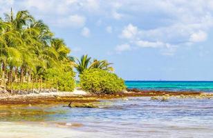 tropische mexikanische strand cenote punta esmeralda playa del carmen mexiko. foto