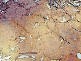 Textur von eisenhaltigem rotem Ferralsol oder Lateritboden in Südafrika.