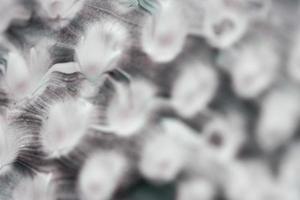 abstrakte weiße und graue schöne flüssige Marmorflüssigkeitsacrylfarbe lebendige Textur. foto