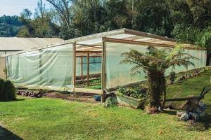 Bento Goncalves, Brasilien - 11. Juli 2019. Gemüsegarten in einem Gewächshaus mit Salat und anderem Grün auf einem Bauernhof in der Nähe von Bento Goncalves. foto