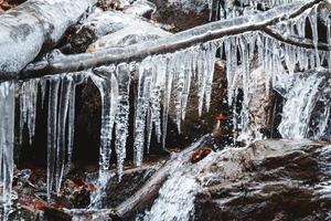 Eiszapfen auf einem Ast vor dem Hintergrund eines Bergflusses foto