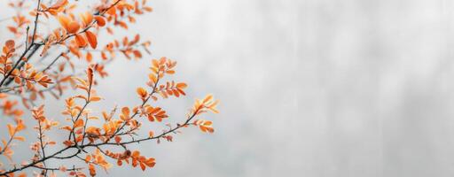 beschwingt Herbst Blätter auf nackt Ast gegen Sanft Hintergrund foto