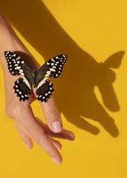 Nahaufnahme schöne Schmetterlingshand