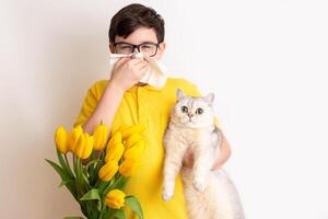 ein Junge mit ein Weiß Katze und bedeckt seine Nase mit ein Papier Serviette und Niesen foto