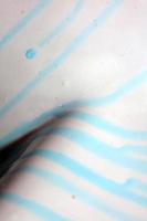 Waschtoilette blaue Flüssigkeit sauber Nahaufnahme Hintergrund hochwertige große Drucke