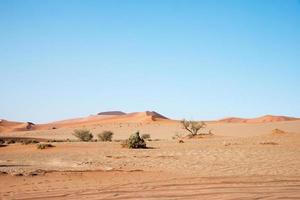 trockene Landschaft in der Namib-Wüste. blauer Himmel, keine Leute. Namibia foto