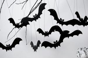 Halloween mit schwarzen Fledermäusen und einem Kürbis auf weißem Hintergrund foto