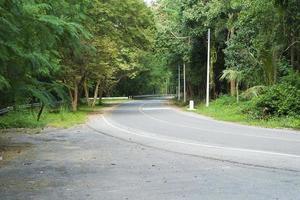 die Straße in der Nähe des Waldes. foto