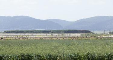 erstaunliche landschaften von israel, blicke auf das heilige land foto