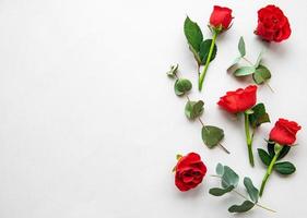 rote Rosen und Eukalyptus foto