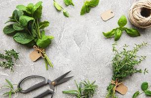 frische Kräuter auf grauem Betongrund foto