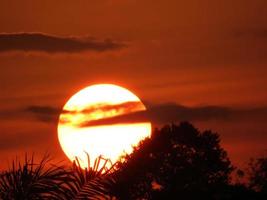 schönes foto des roten sonnenuntergangs im smog