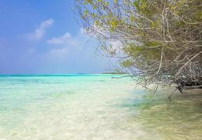 natürliche tropische türkisfarbene sandbankinseln madivaru finolhu rasdhoo atoll malediven.