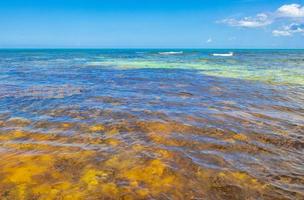 tropischer mexikanischer bunter strand punta esmeralda playa del carmen mexiko. foto