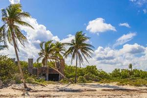 tropische abfallende Palmen blauer Himmel Playa del Carmen Mexiko.