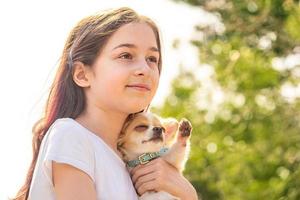 glückliches Teenager-Mädchen mit einem weißen Chihuahua-Hund mit roten Flecken. Mädchen in einem weißen T-Shirt.