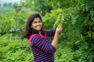 junges Mädchen untersuchen oder beobachten Neem Azadirachta Indica Baumblatt am Feld foto